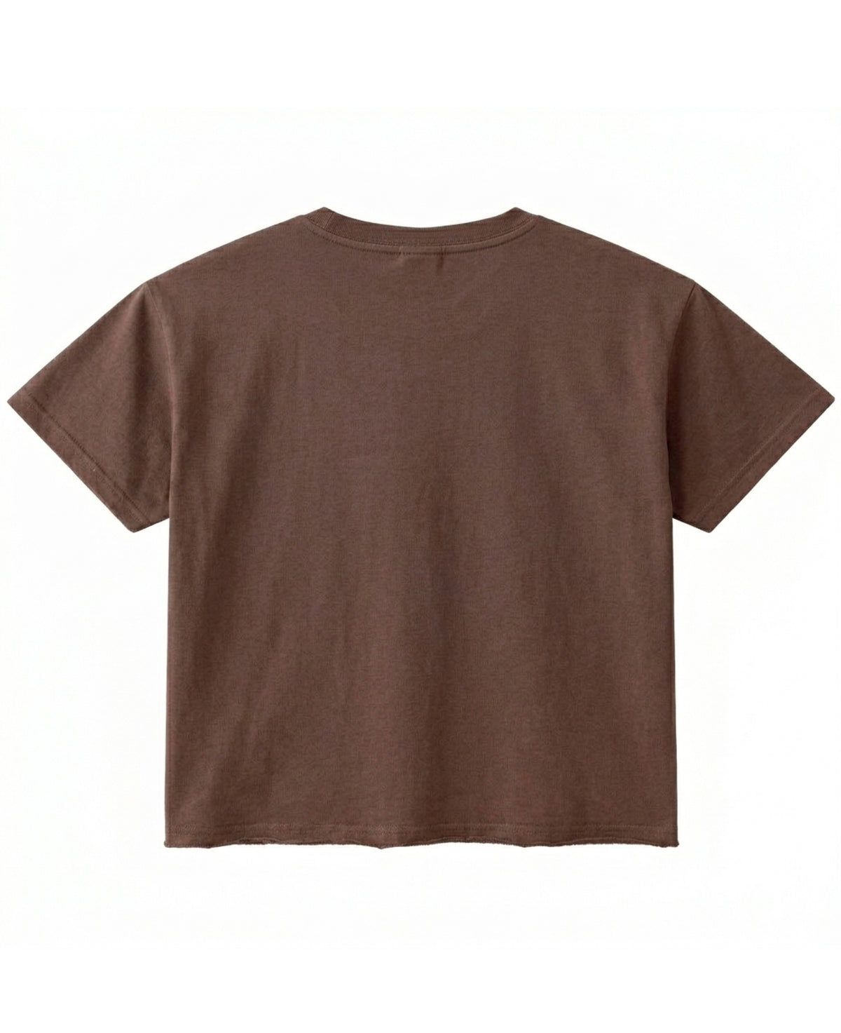 Brown oversized boxy fit tee, back view - Frolic Saga Bare Minimum
