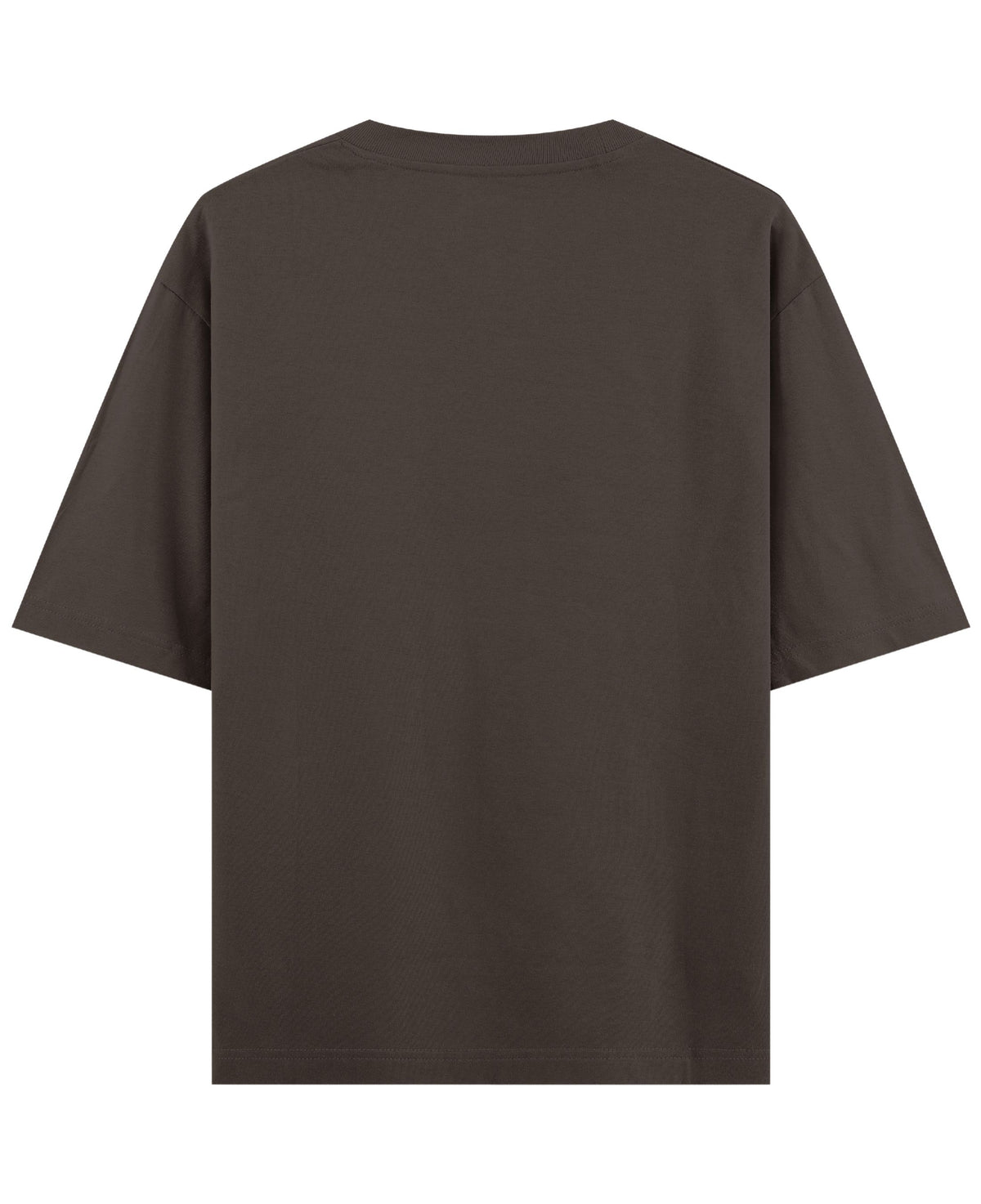 I Have No Pronouns coffee oversized tee, back view - Frolic Saga
